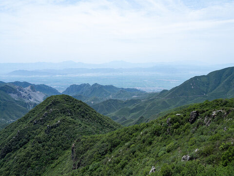 云中草原高山植被