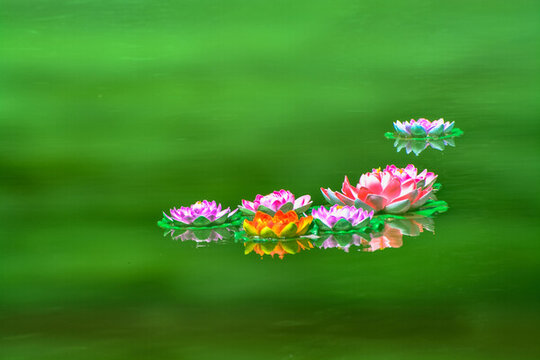 祈福蓮花