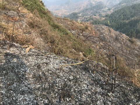 撲滅山火