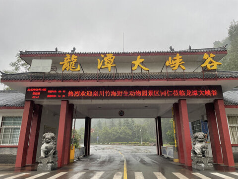 龍?zhí)洞髰{谷