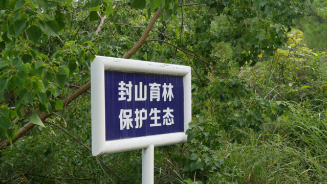 封山育林保護(hù)生態(tài)提示牌