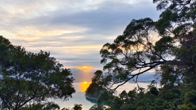 樹間夕陽