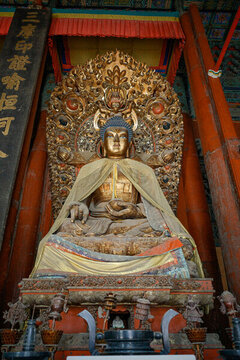 承德普樂(lè)寺佛像