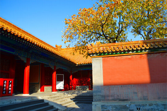北京故宮博物院風(fēng)光