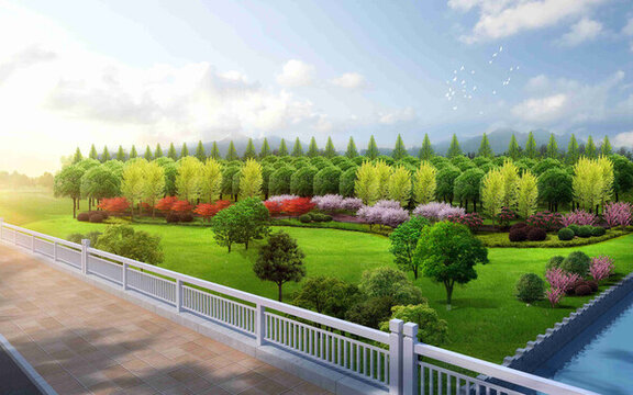 綠地植物景觀效果圖