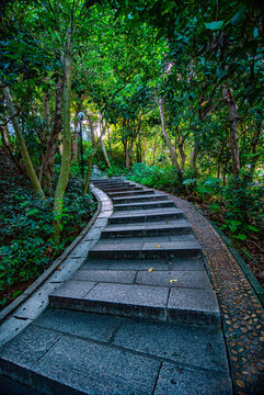登山道