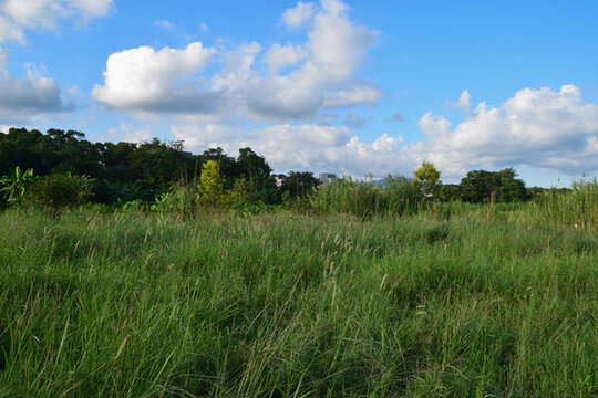 連江含光生態(tài)公園