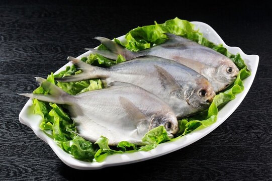 鯧魚