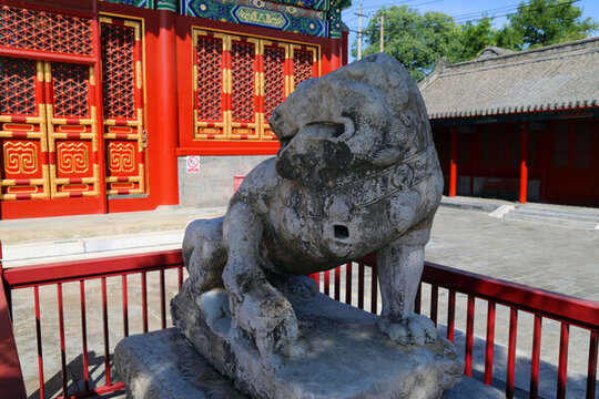 妙應(yīng)寺石獅子