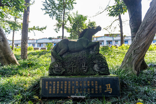 十二生肖馬雕塑