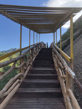 山野度假村