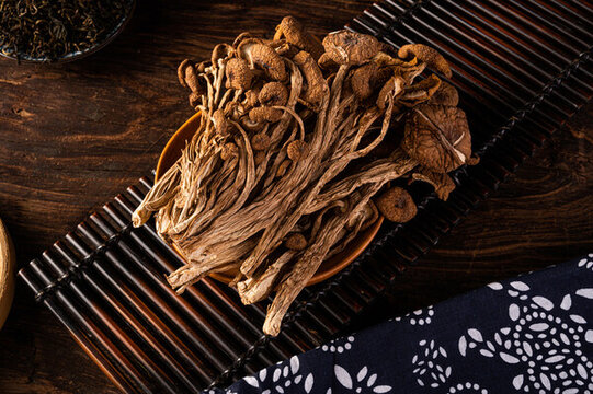 茶樹(shù)菇干