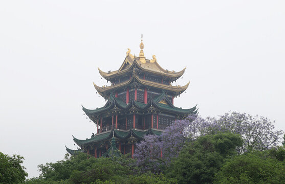 塔樓