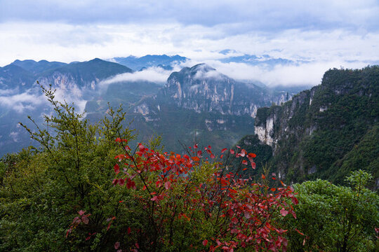 重慶云陽(yáng)龍崗景區(qū)