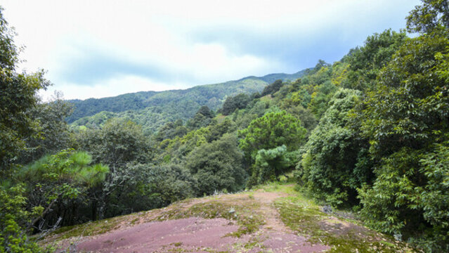嵩明大尖山