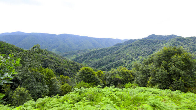 嵩明大尖山