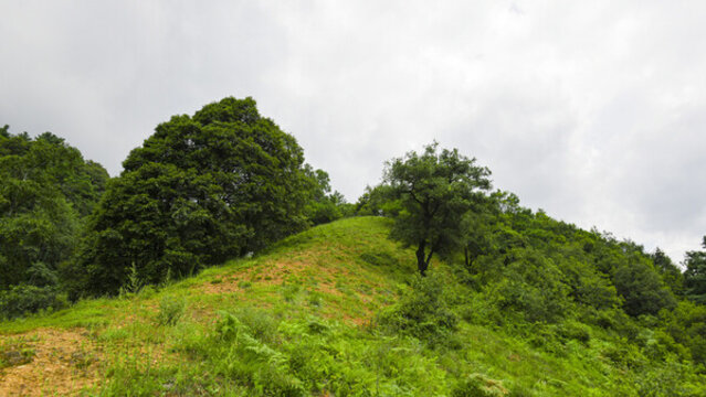 嵩明大尖山