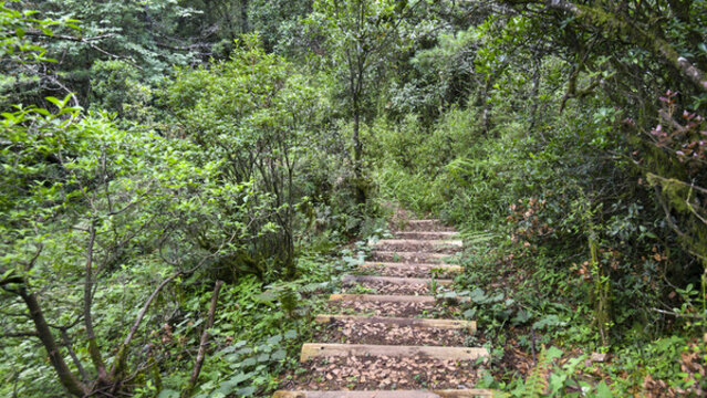 嵩明大尖山