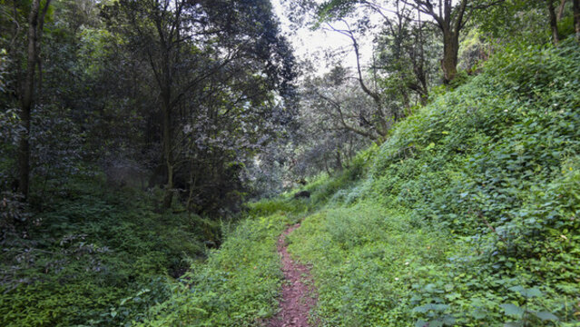 嵩明大尖山