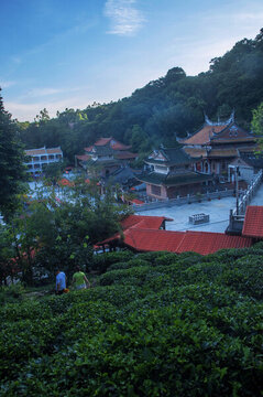 雪峰寺豎構(gòu)圖風(fēng)光