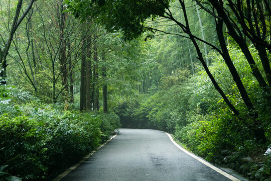 成都都江堰熊貓谷路徑風(fēng)景