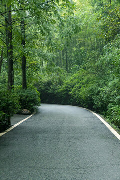 成都都江堰熊貓谷路徑風(fēng)景