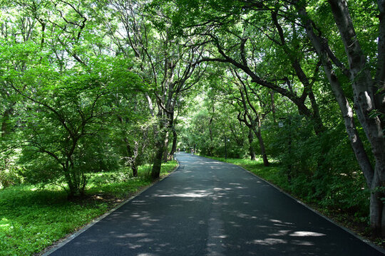 遼寧沈陽(yáng)北陵公園清昭陵