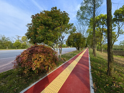 城市綠道