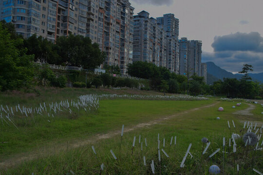 公園風(fēng)景