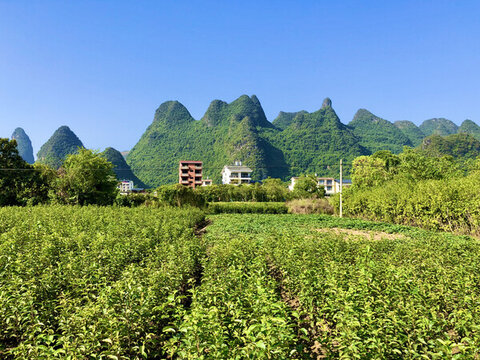 桂林城鎮(zhèn)