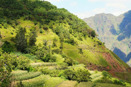 大山深處