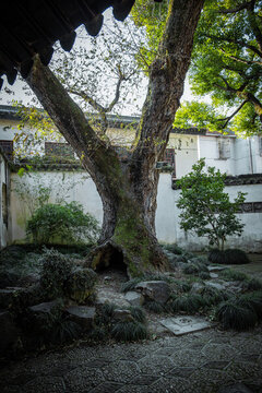 園林庭院