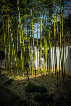 園林庭院