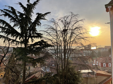 夕陽