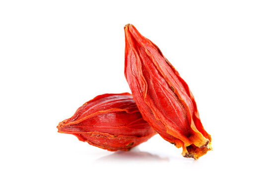 紅梔子果