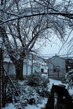 太湖冬雪