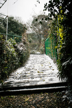 樹山村