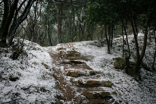 樹(shù)山雪景