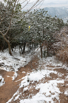 大陽山雪景
