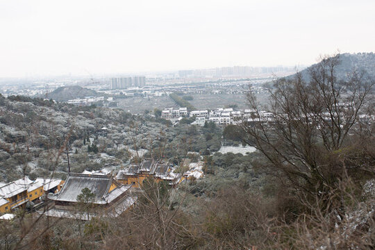 樹山雪景