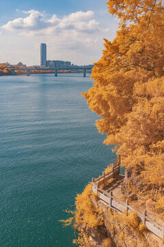 紅外攝影柳州蟠龍山公園與柳江