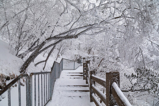 冬季黃山霧凇雪景