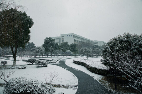 子川橋雪景
