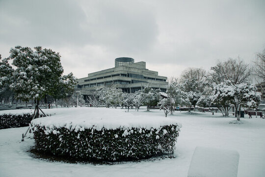 圖書館雪景