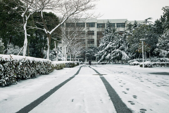 雪后校園