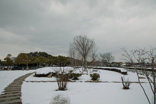 冬雪