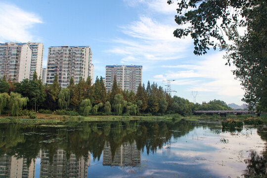 日照沙墩河公園風光