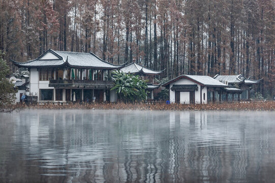杭州曲院風(fēng)荷雪韻