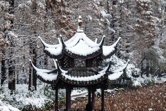 杭州曲院風荷雪韻