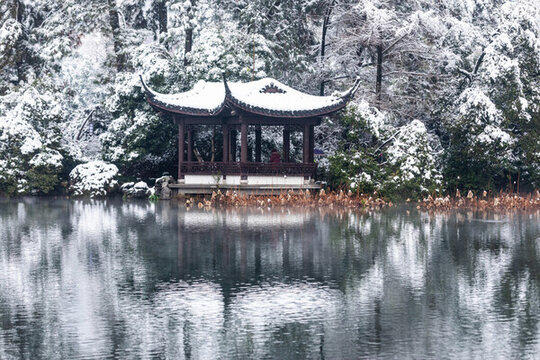 杭州曲院風(fēng)荷雪韻